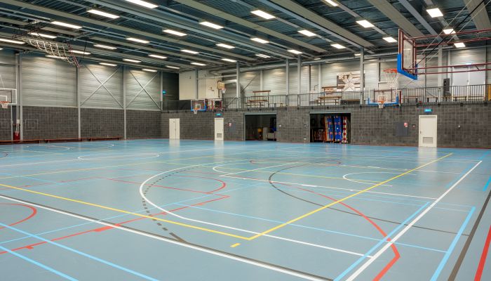 AZ-DeMene-LR-2.jpg